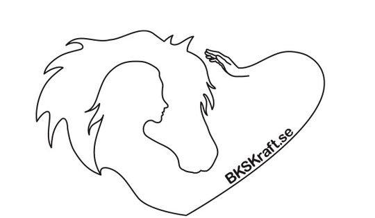 BKSKraft.se